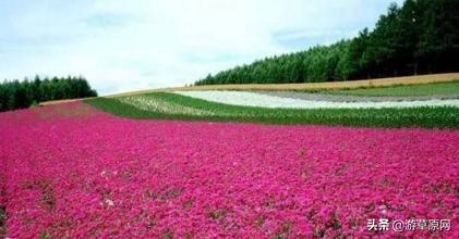 微信圖片_20190404092730.jpg 微信圖片_20190404092730.jpg