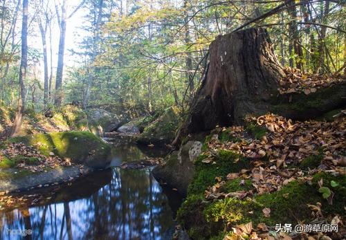 微信圖片_20190404092738.jpg 微信圖片_20190404092738.jpg