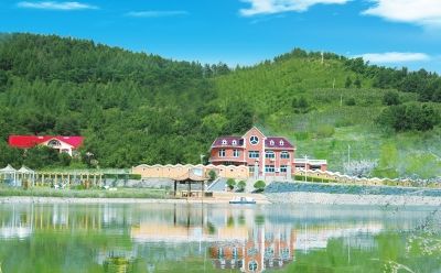 timg (9).jpg timg (9).jpg