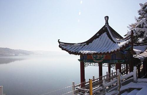 timg (11).jpg timg (11).jpg