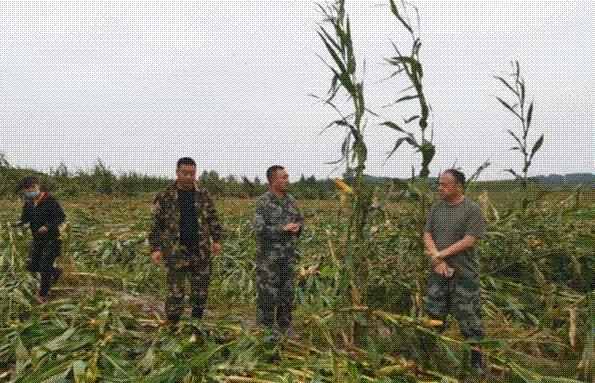 搜狗截圖20年09月09日1025_3.gif 搜狗截圖20年09月09日1025_3.gif