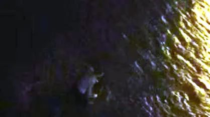 微信圖片_20220618155914.jpg 微信圖片_20220618155914.jpg